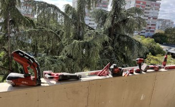 Апартамент, Чайка